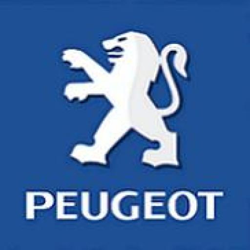 Peugeot Car Mats