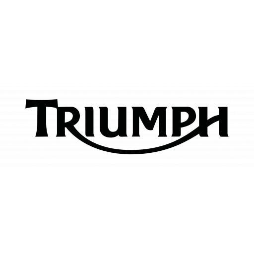 Triumph Car Mats